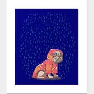 French Bulldog in a raincoat Posters and Art